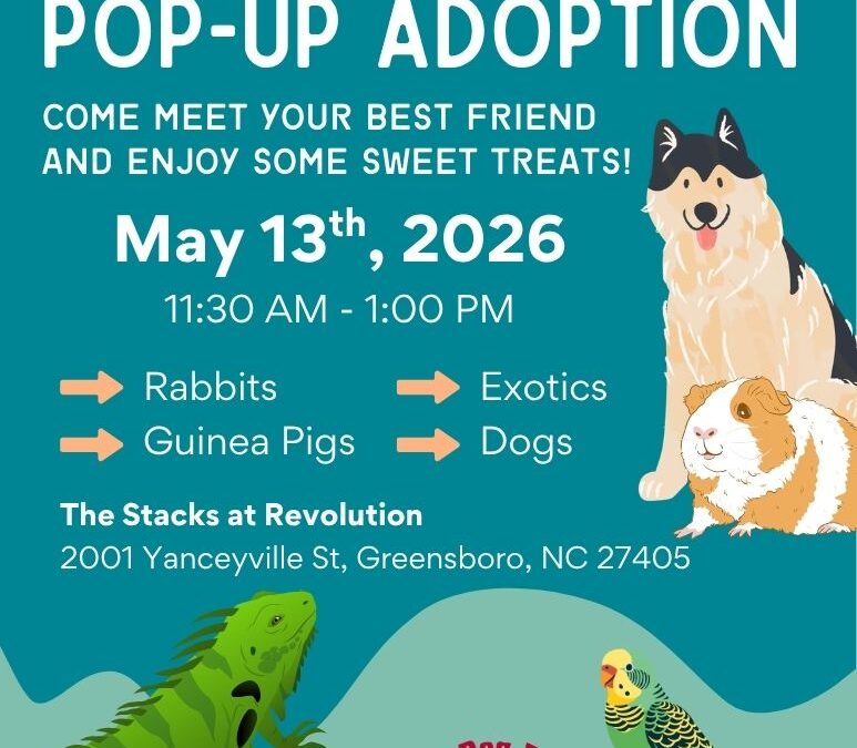Treats and Tails Pop-Up Adoption